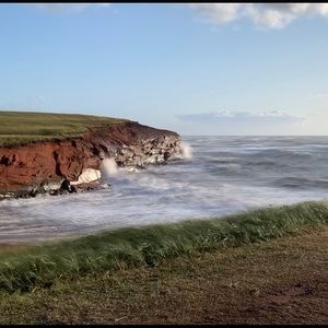 Meet your Posher, Alexandra